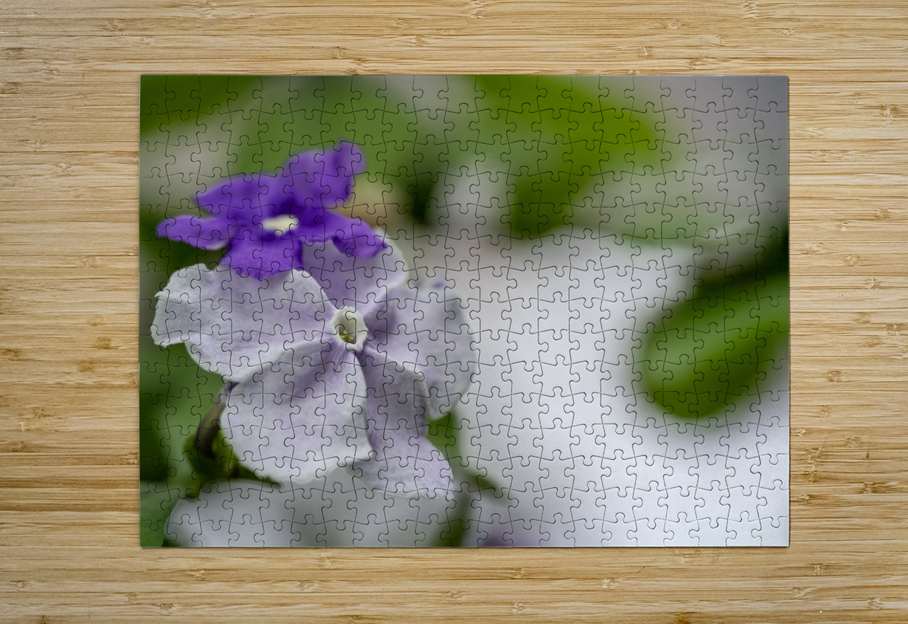 Mauve Melody 1 Suzanne Bonin Puzzle printing