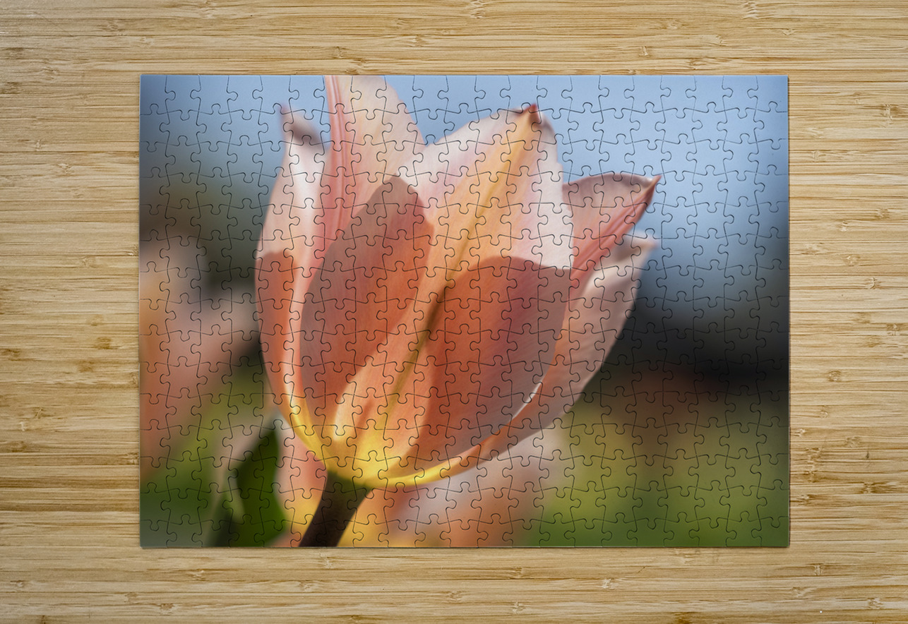 Radiant Reverie Suzanne Bonin Puzzle printing