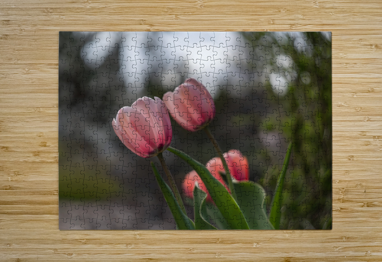 Pink Harmony Suzanne Bonin Puzzle printing