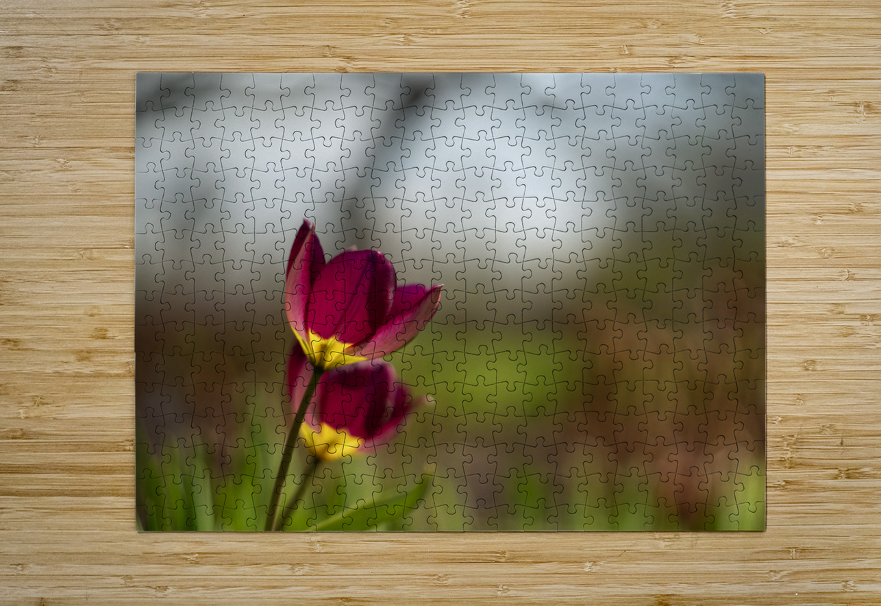 Wine Stained Whispers Suzanne Bonin Puzzle printing