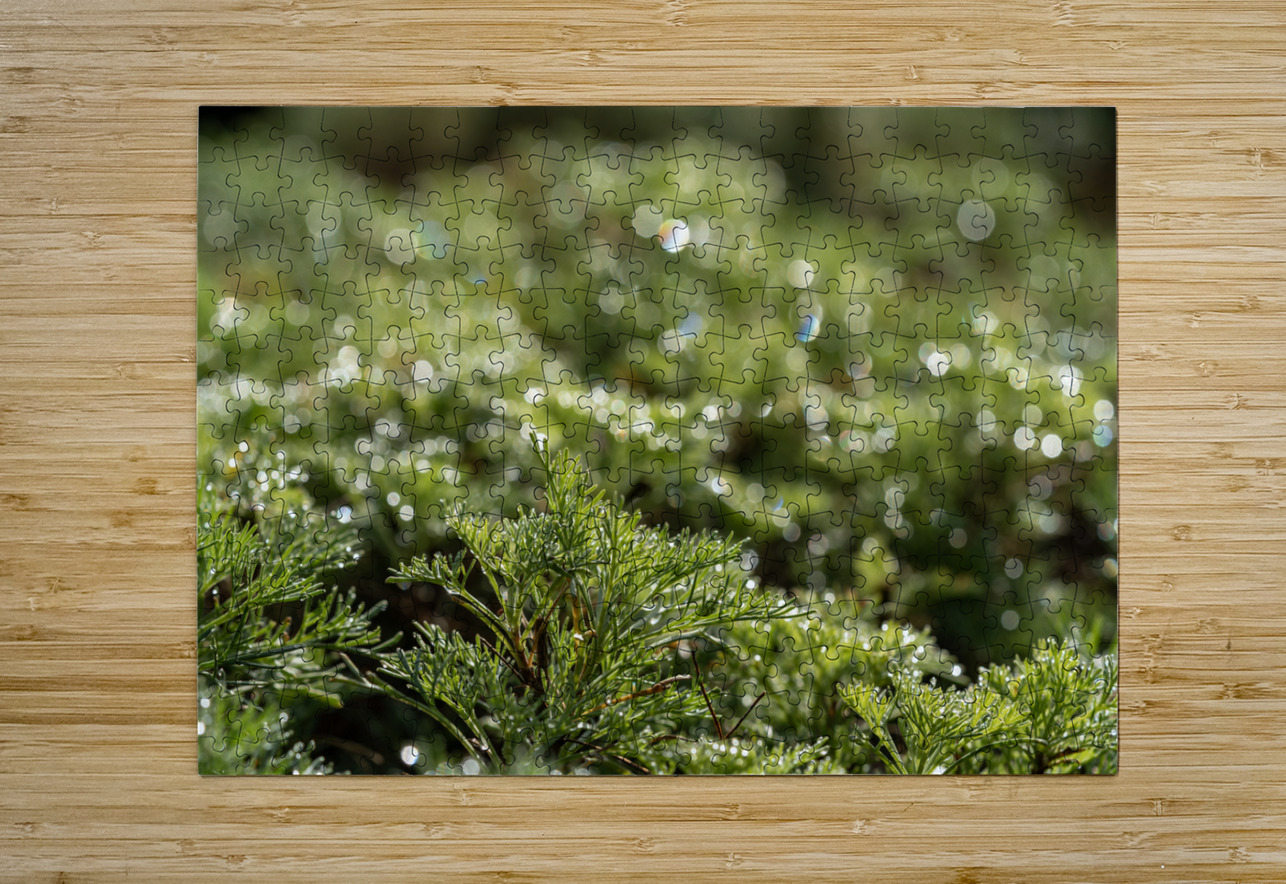 Spring Bokeh Suzanne Bonin Puzzle printing