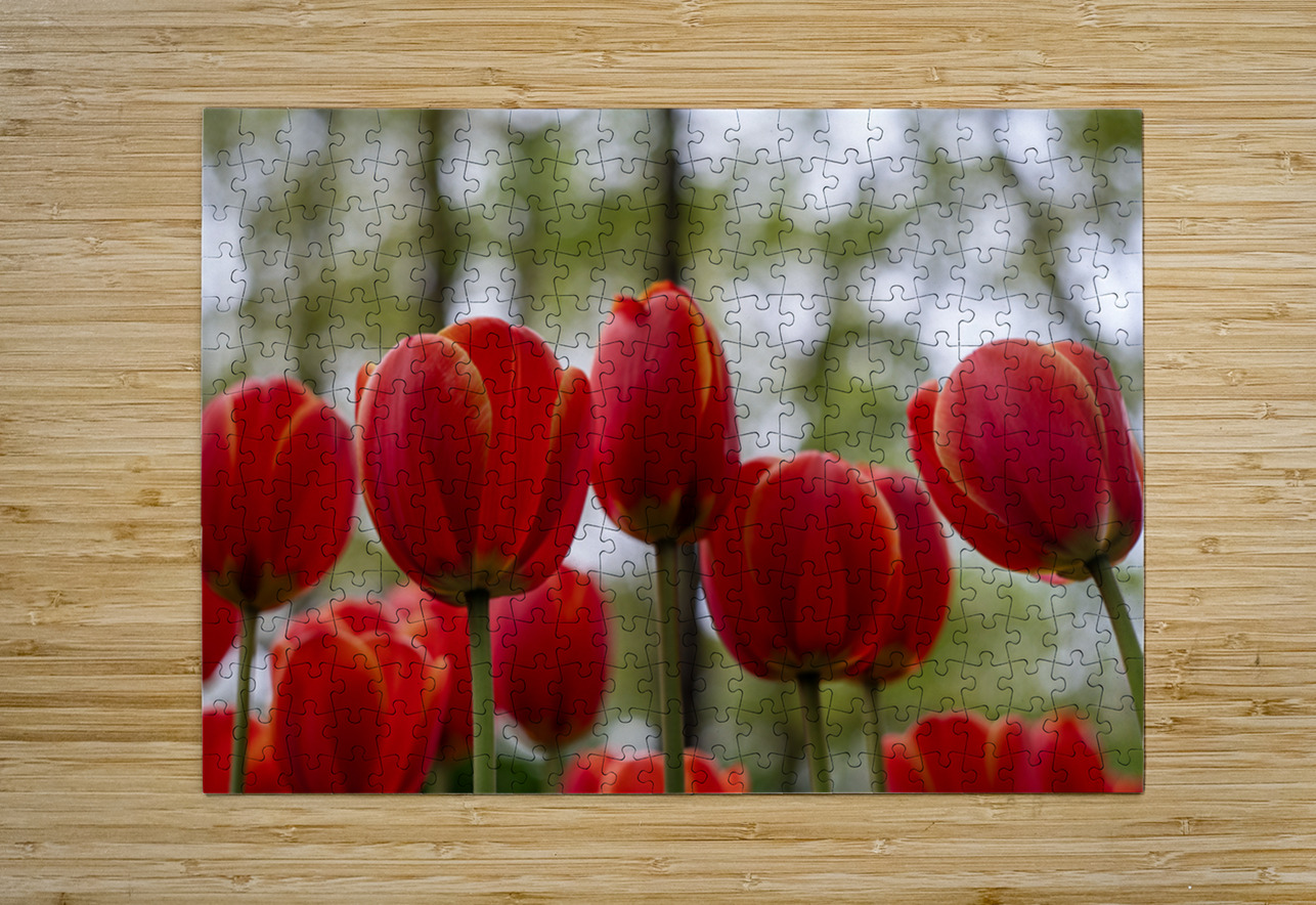  SBP5918 Suzanne Bonin Puzzle printing