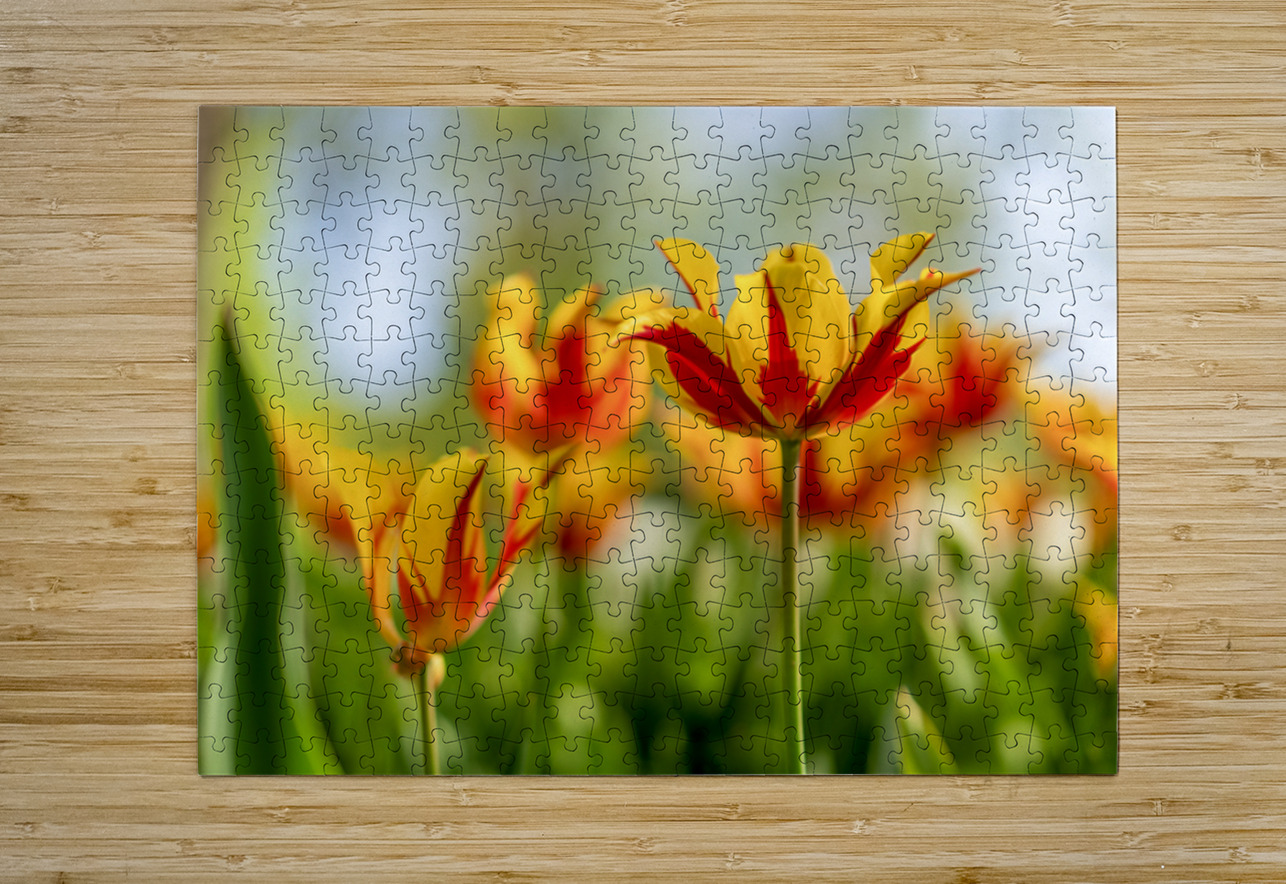  SBP6290 Suzanne Bonin Puzzle printing