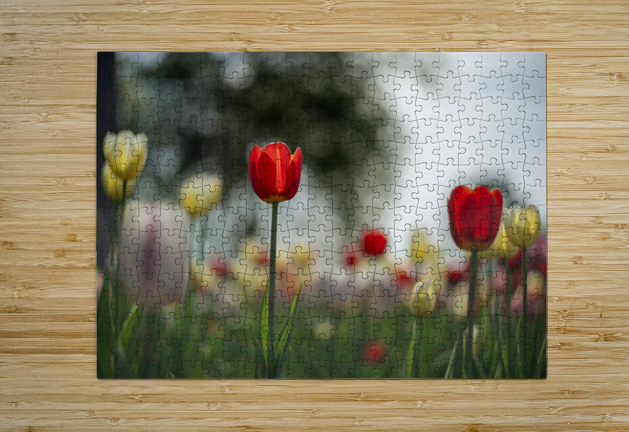  SBP8067 Suzanne Bonin Puzzle printing