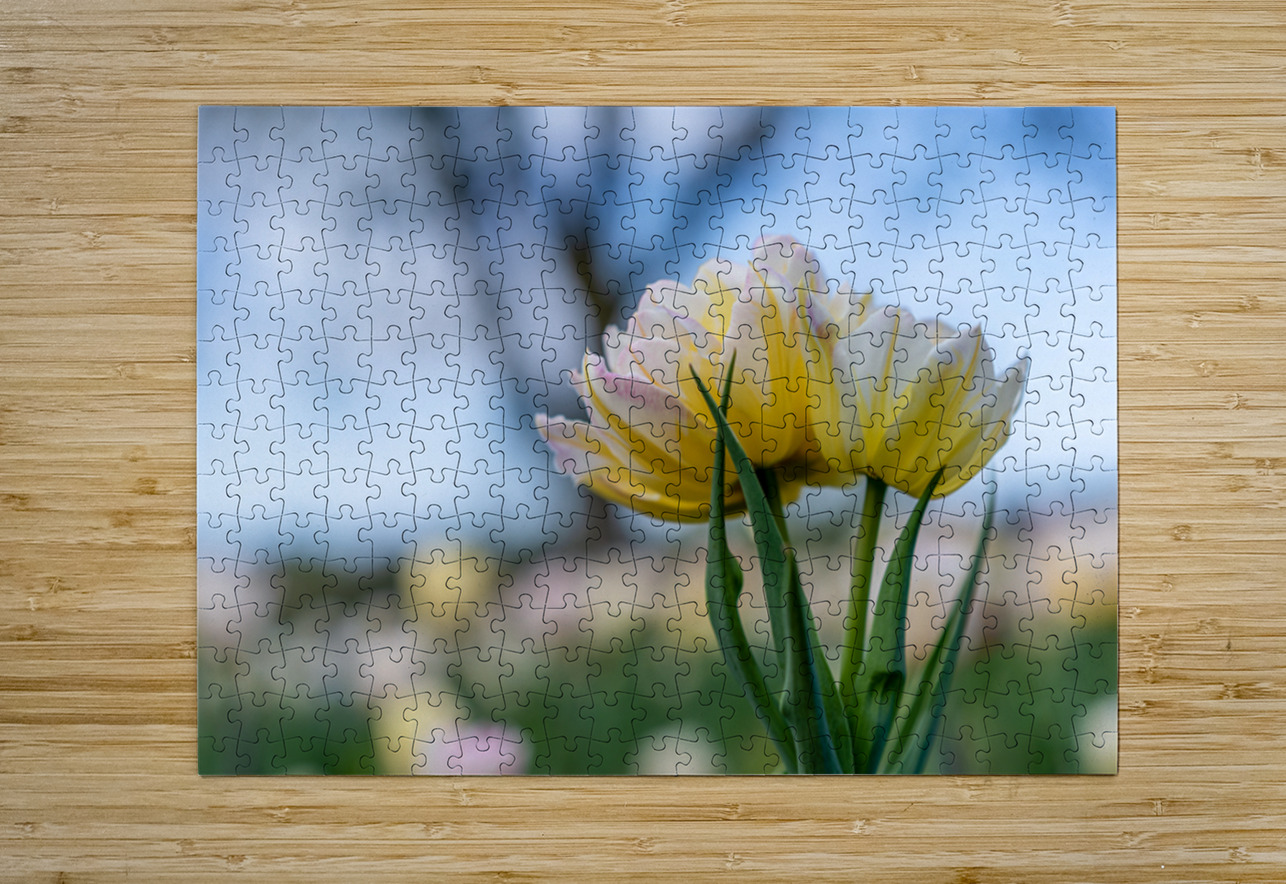  SBP7668 Suzanne Bonin Puzzle printing