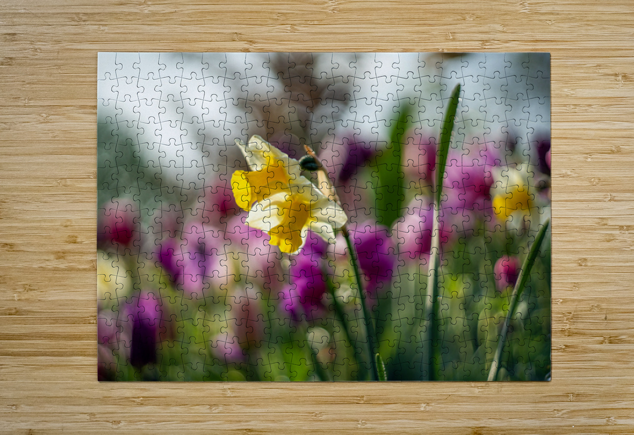  SBP5470 Suzanne Bonin Puzzle printing