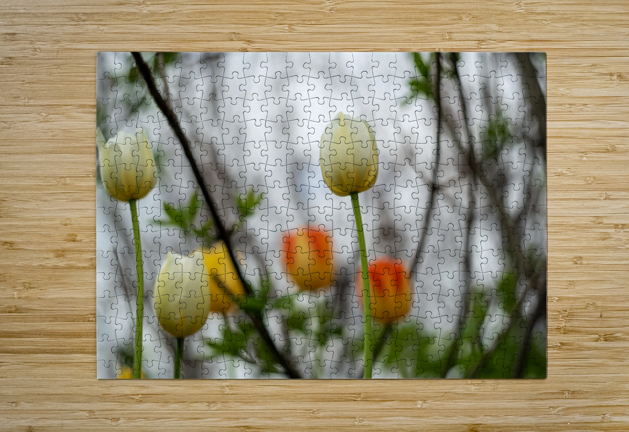 SBP8335 Suzanne Bonin Puzzle printing