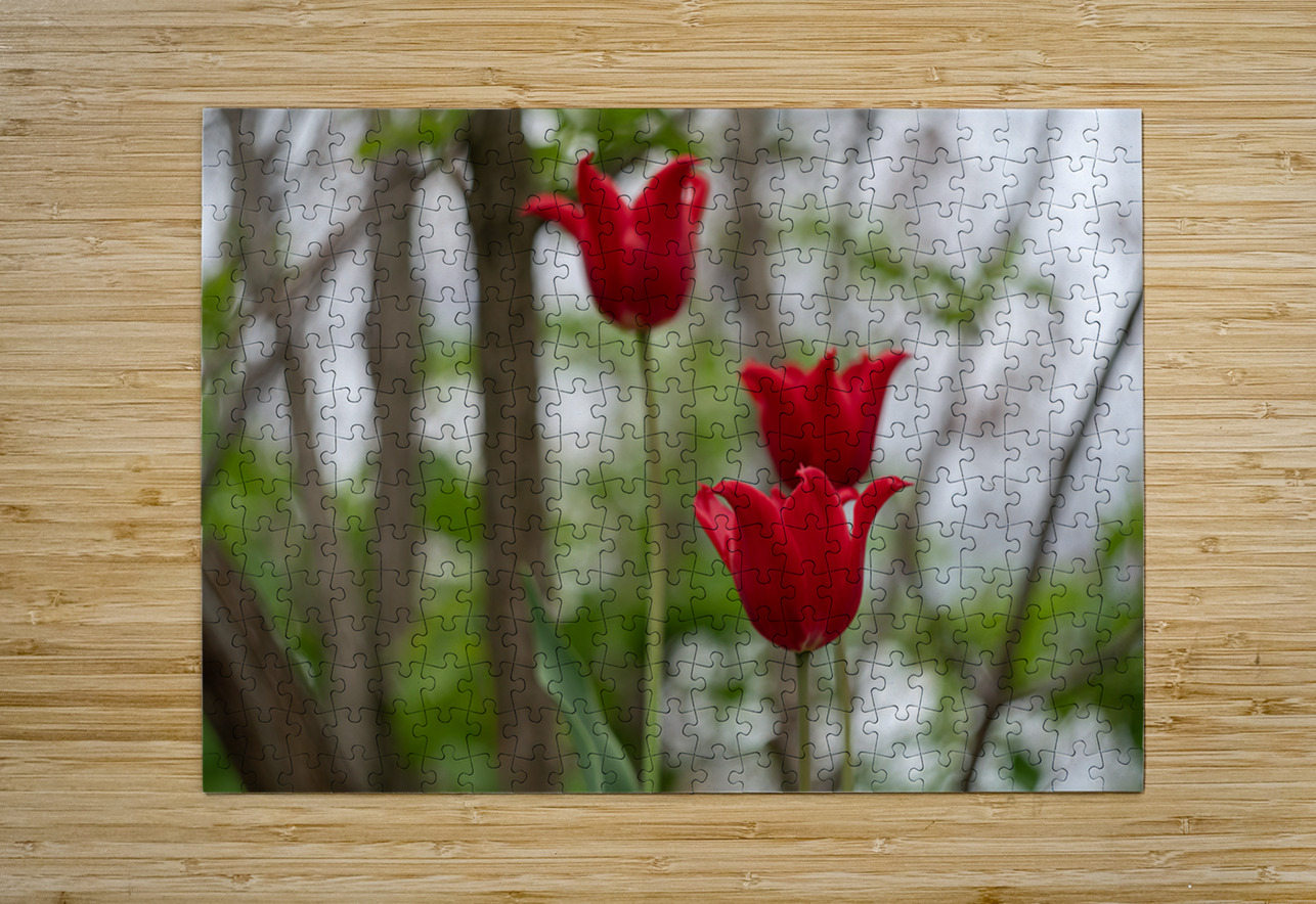 SBP8333 Suzanne Bonin Puzzle printing