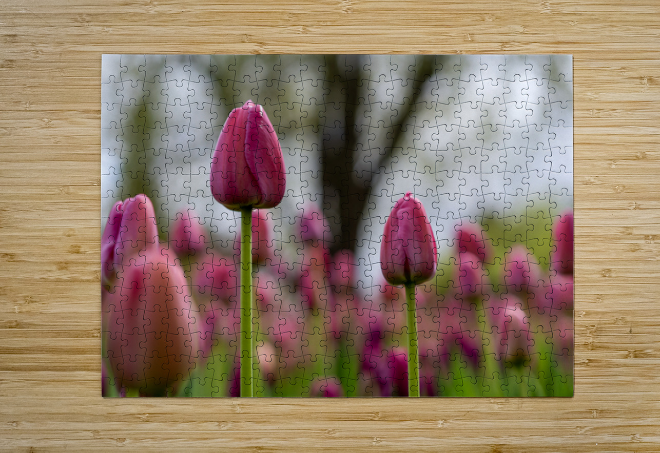 SBP6693 Suzanne Bonin Puzzle printing