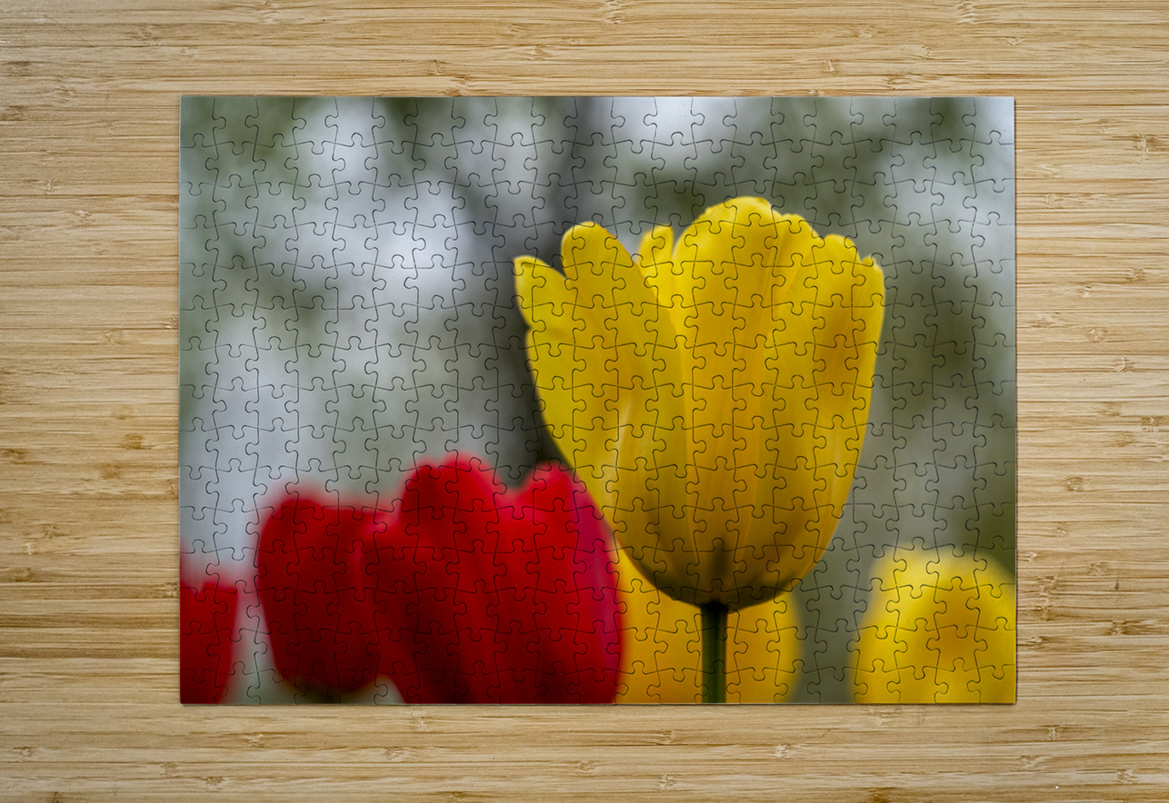 SBP5634 Suzanne Bonin Puzzle printing