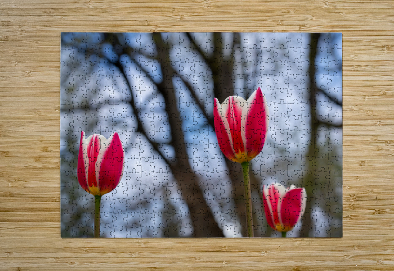 SBP6537 Suzanne Bonin Puzzle printing