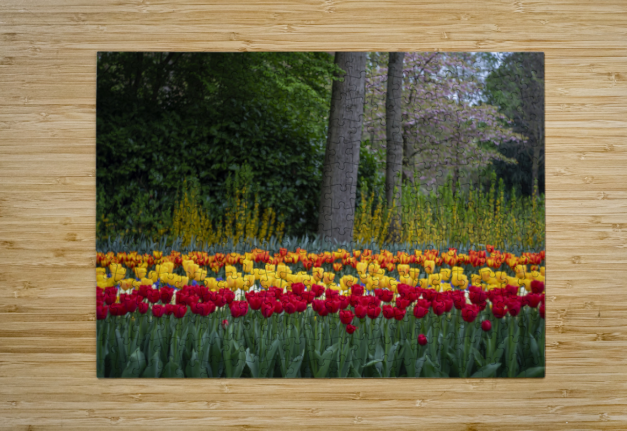 SBP5724 Suzanne Bonin Puzzle printing