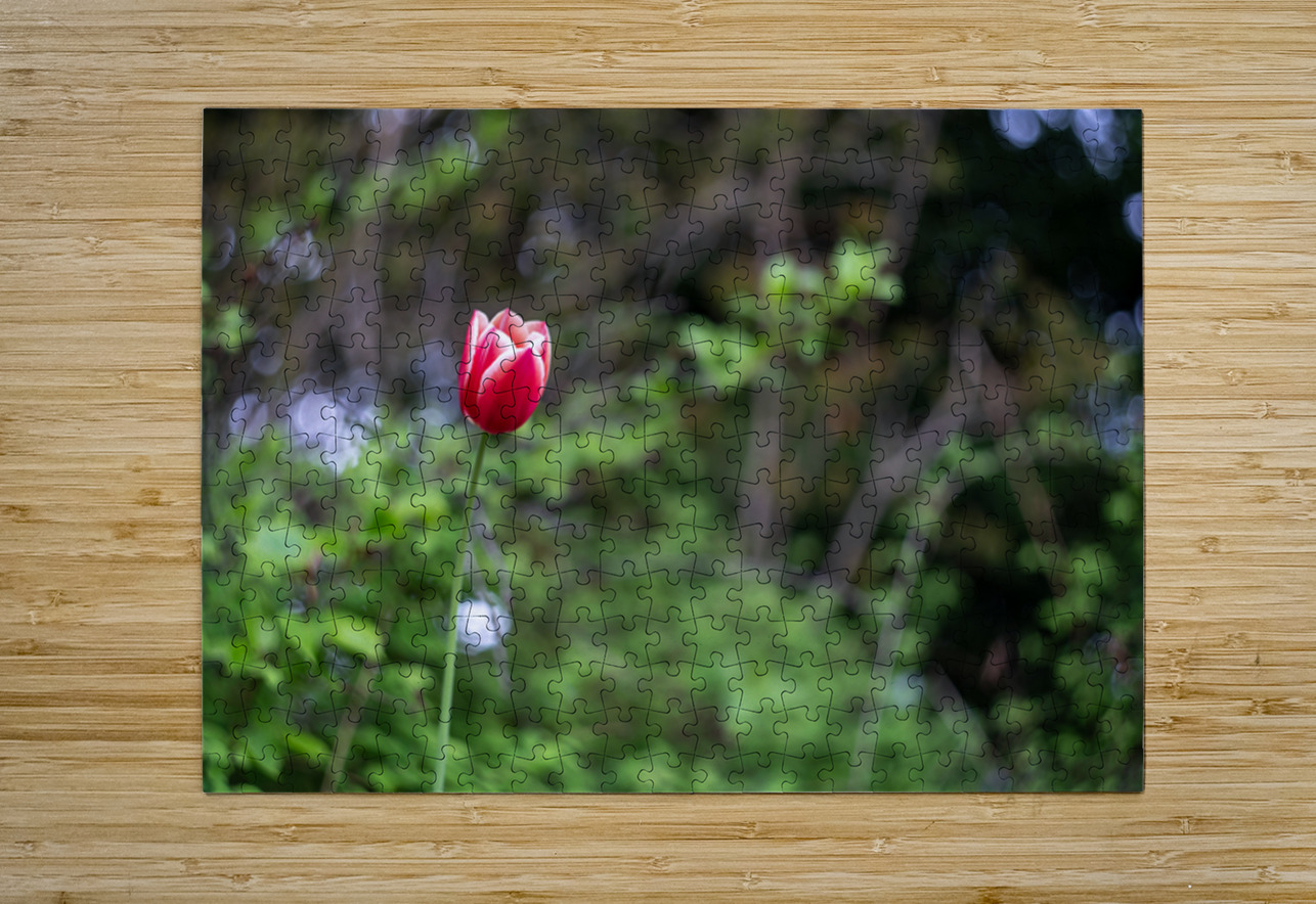 SBP8207 Suzanne Bonin Puzzle printing