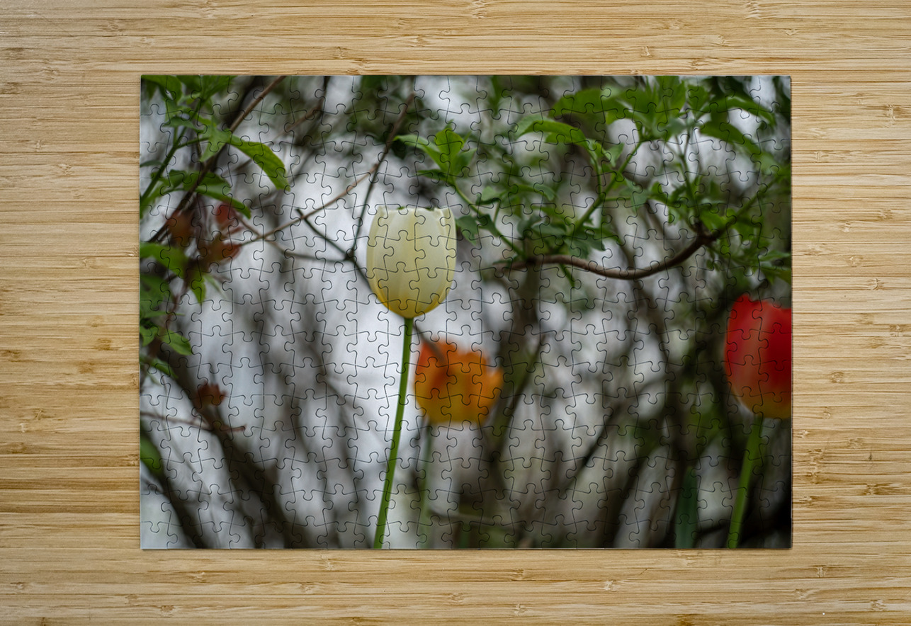 SBP8285 Suzanne Bonin Puzzle printing