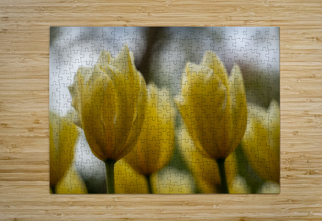 SBP5684 Suzanne Bonin Puzzle printing