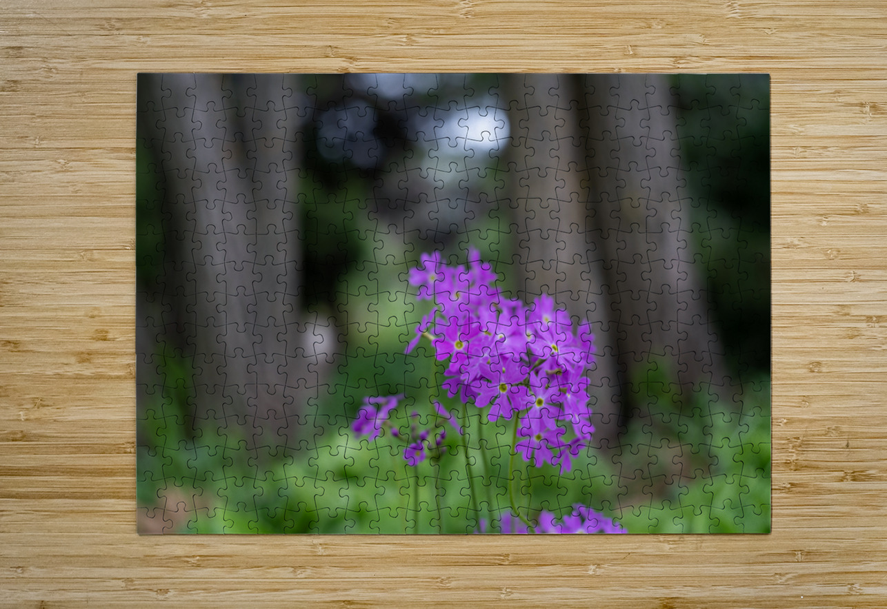 SBP8427 Suzanne Bonin Puzzle printing