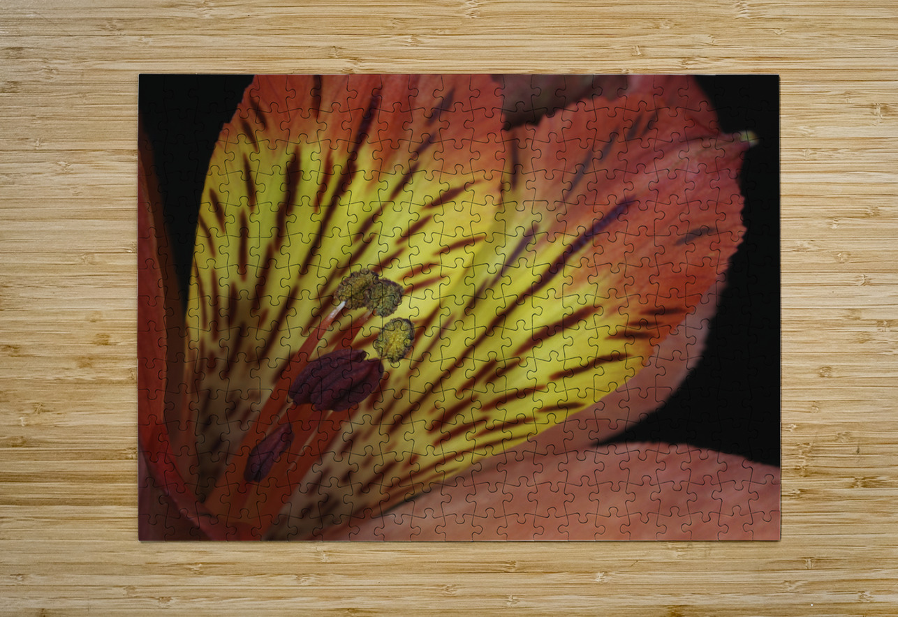 Lily Of The Incas Suzanne Bonin Puzzle printing