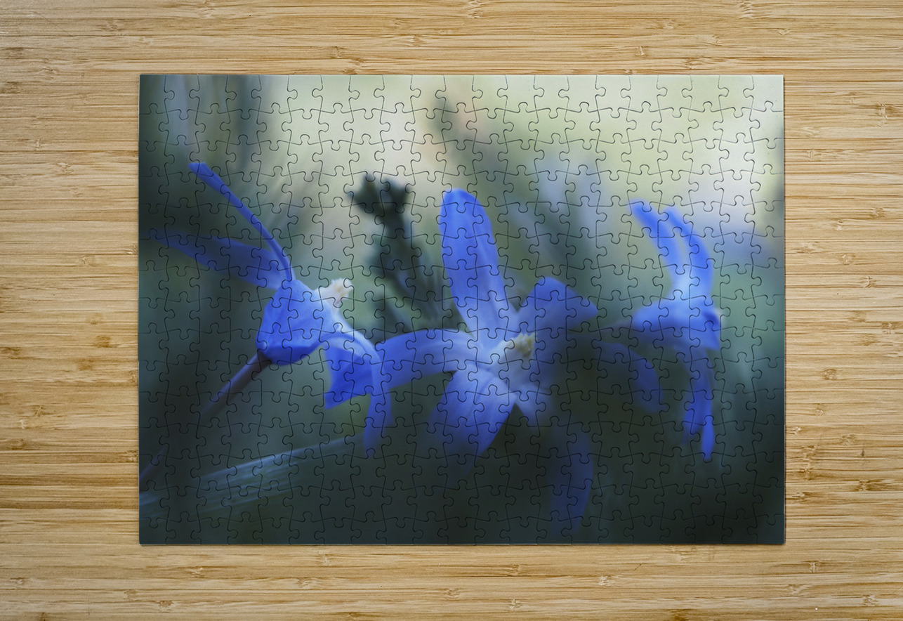 Broken Suzanne Bonin Puzzle printing