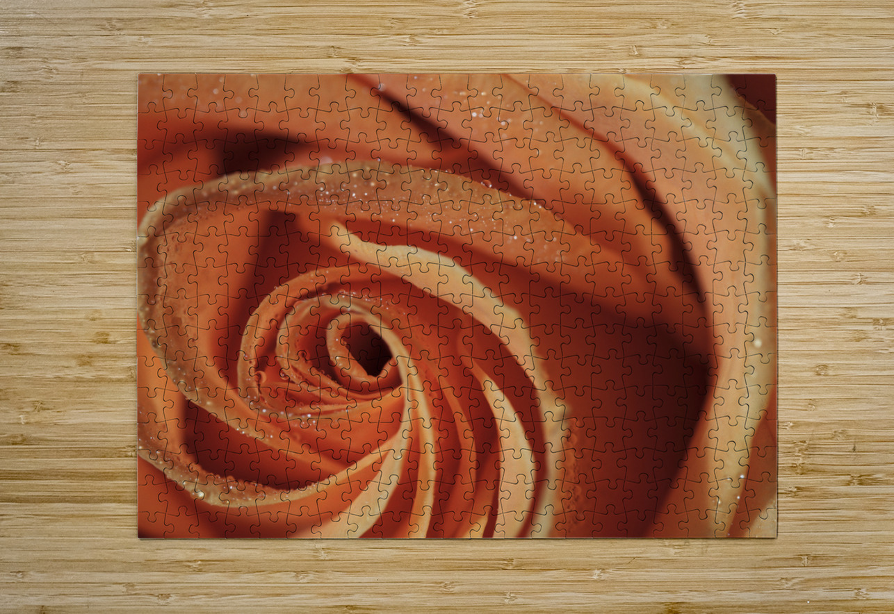 Peach Rose Suzanne Bonin Puzzle printing