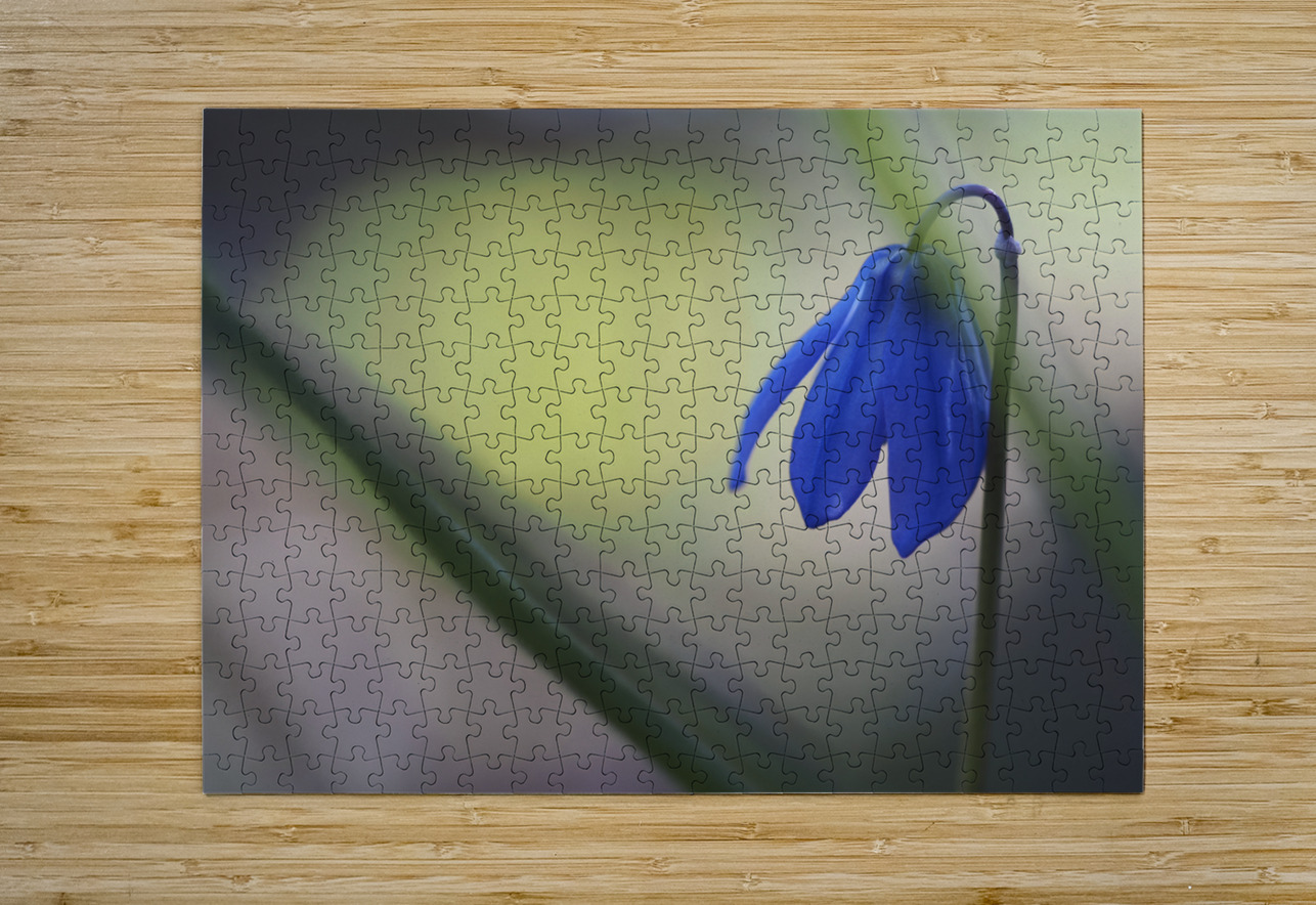 Tiny Blue Umbrella Suzanne Bonin Puzzle printing