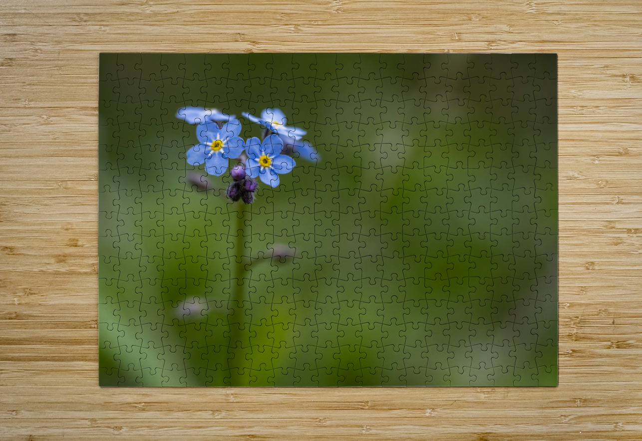 Never Forget Suzanne Bonin Puzzle printing