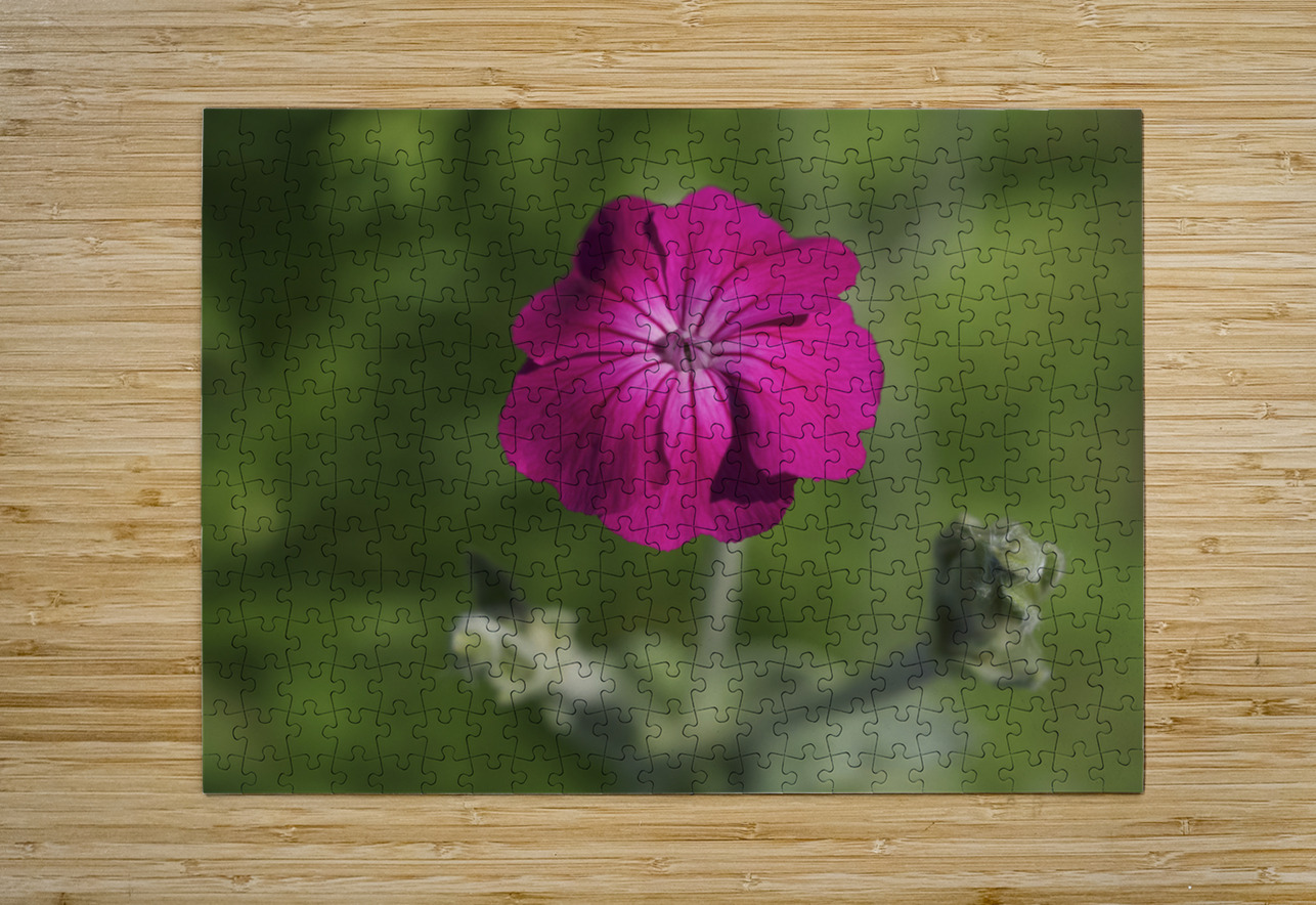 Velvety Beauty Suzanne Bonin Puzzle printing