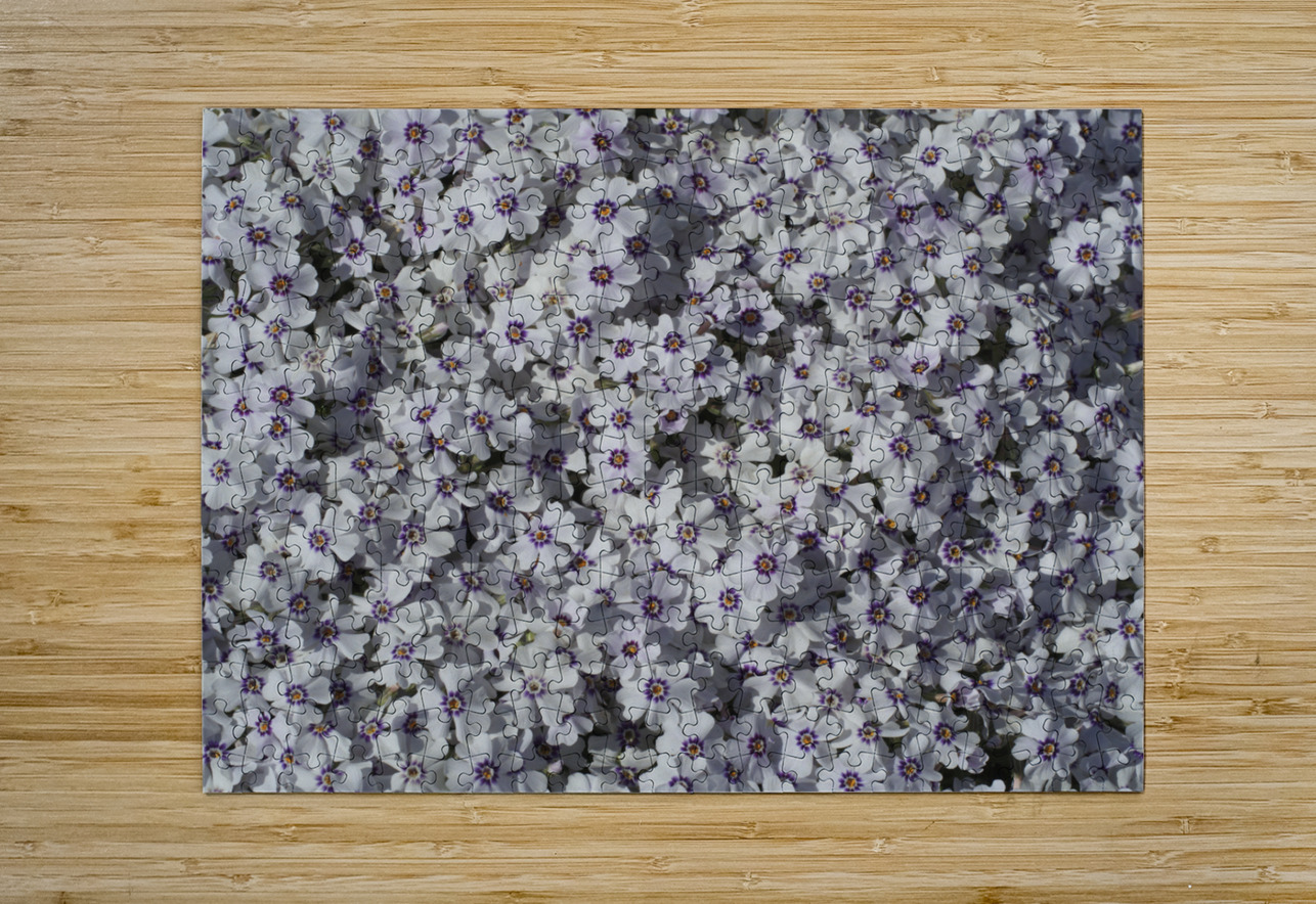 Moss Phlox Suzanne Bonin Puzzle printing