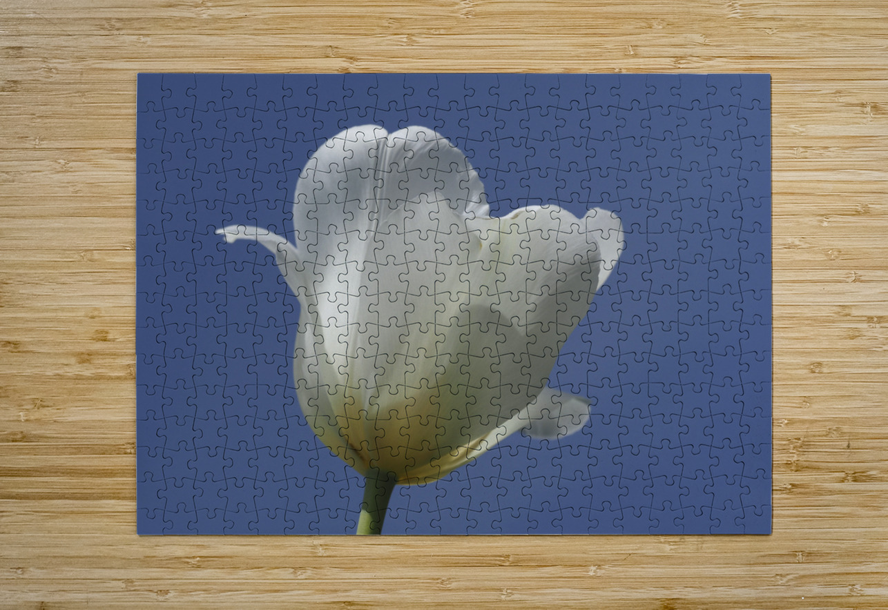 White Tulip Blue Sky Suzanne Bonin Puzzle printing
