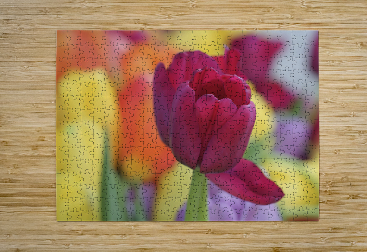 Colorful Suzanne Bonin Puzzle printing