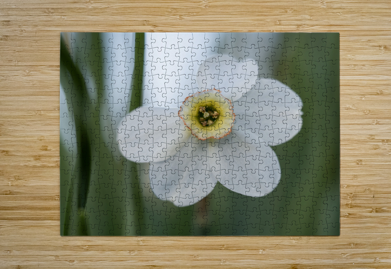 New Beginnings Suzanne Bonin Puzzle printing