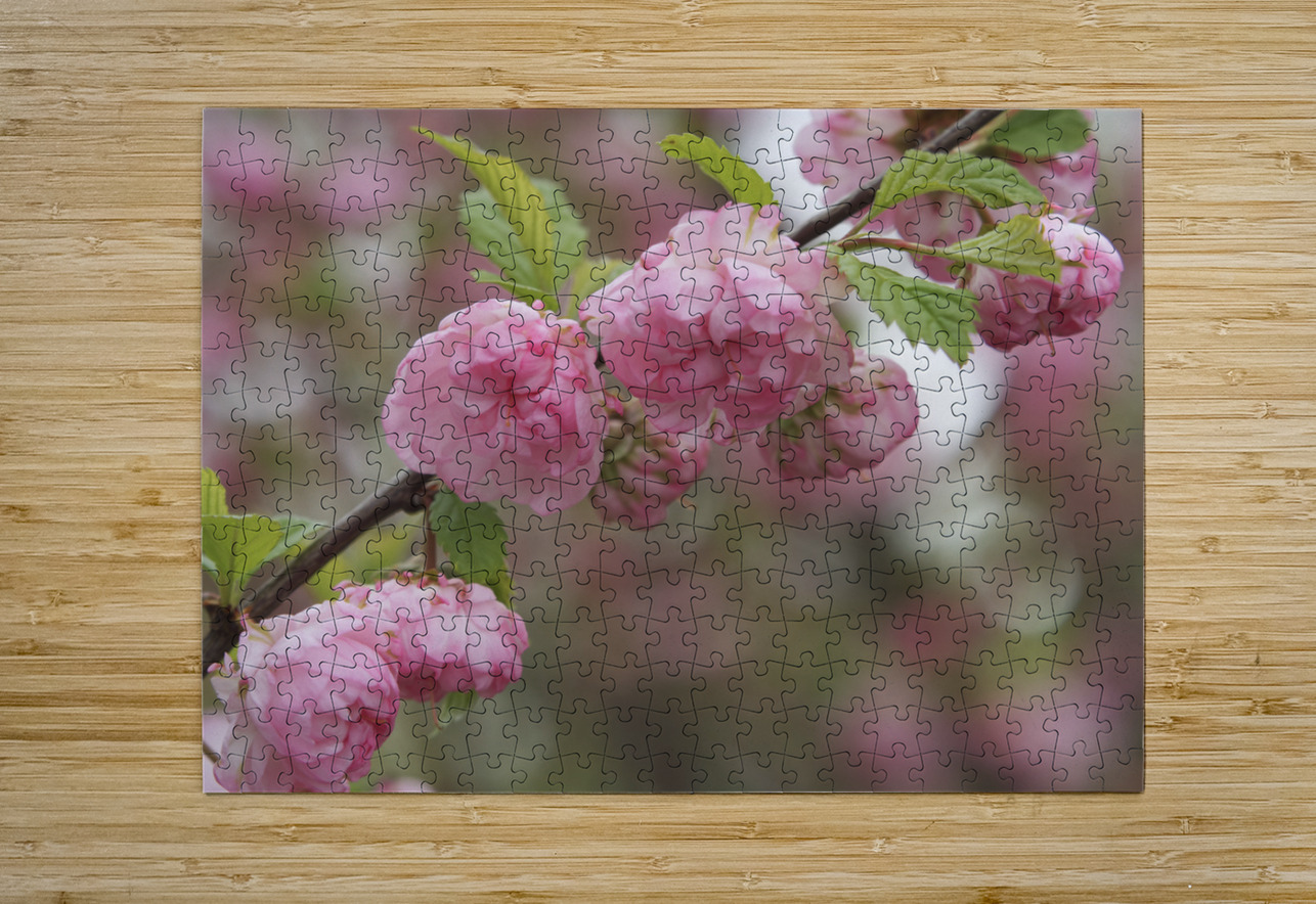 Pink Beauties Suzanne Bonin Puzzle printing