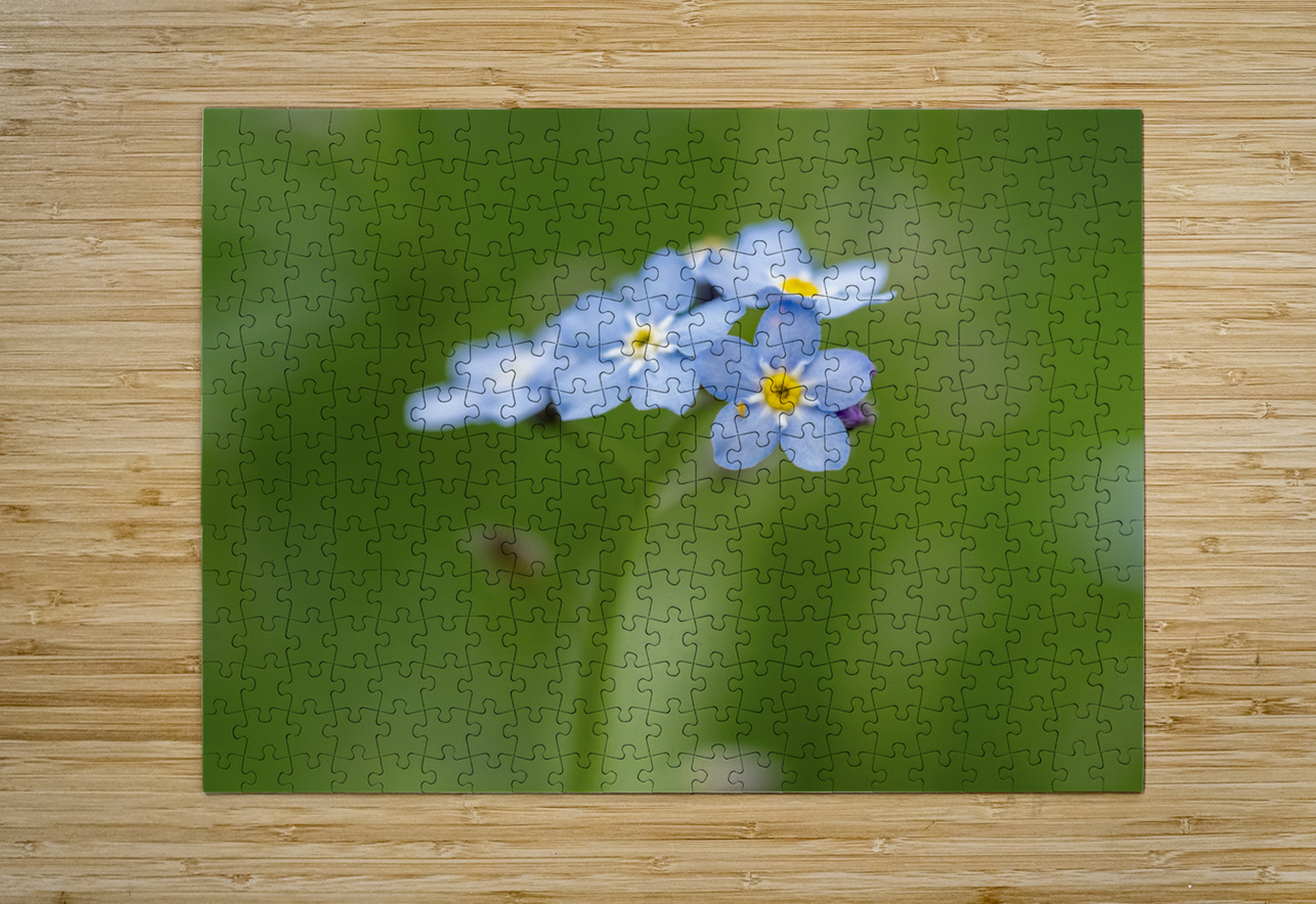 Small World Suzanne Bonin Puzzle printing