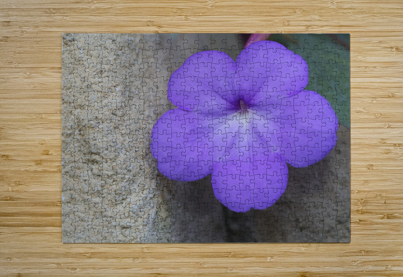 Magic Flower Suzanne Bonin Puzzle printing