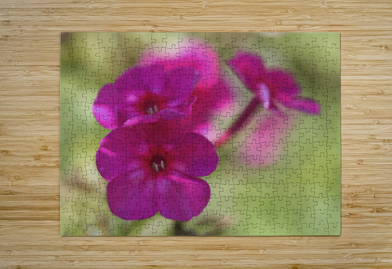 Summertime Suzanne Bonin Puzzle printing