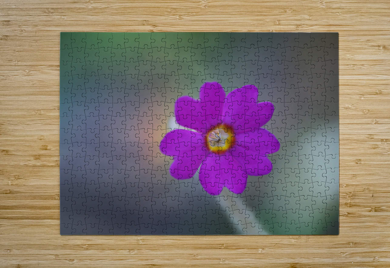 Delicate Beauty Suzanne Bonin Puzzle printing