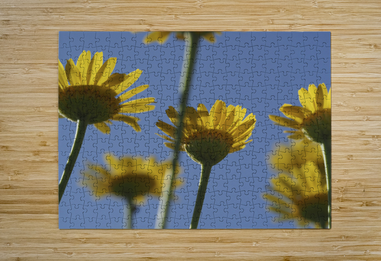 From Below Suzanne Bonin Puzzle printing