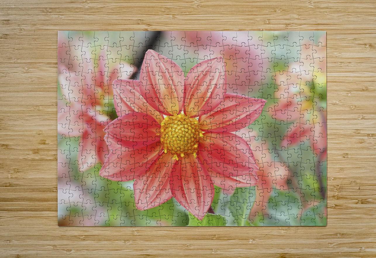 Dahlia Pinnata Suzanne Bonin Puzzle printing
