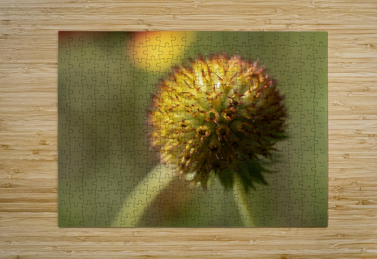 Sundance Seedhead Suzanne Bonin Puzzle printing