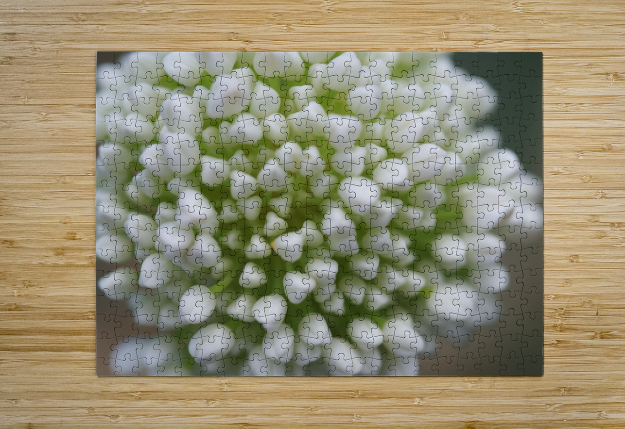 Another World Suzanne Bonin Puzzle printing