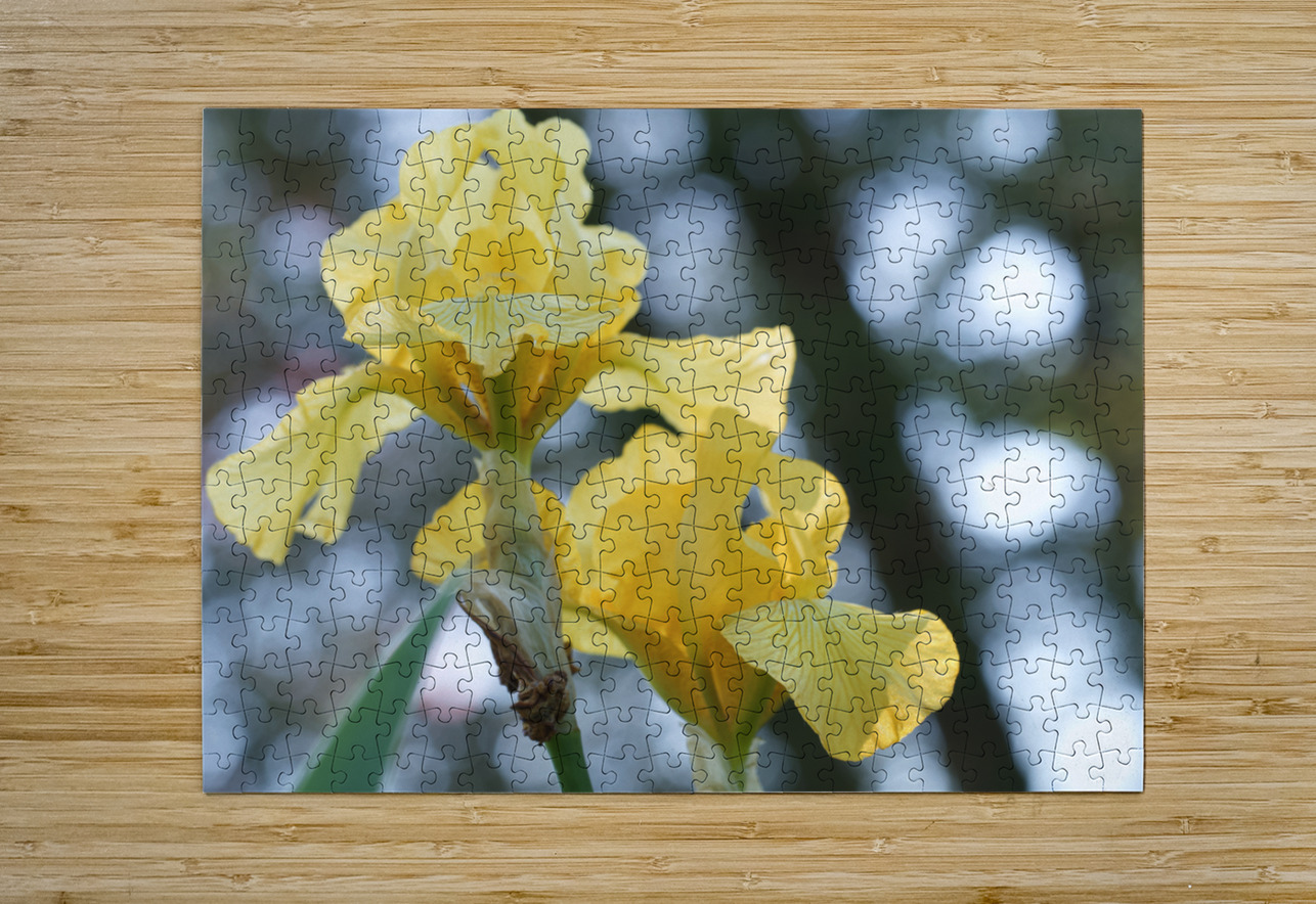 Water Flag Suzanne Bonin Puzzle printing