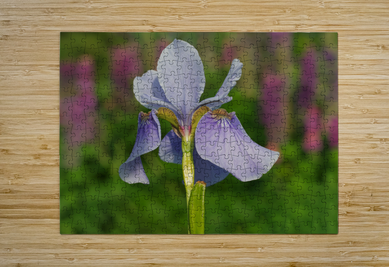 Violet Blue One Suzanne Bonin Puzzle printing