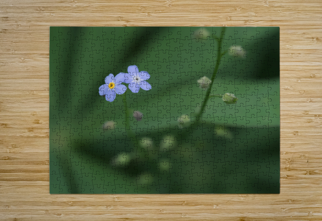 Small Universe Suzanne Bonin Puzzle printing