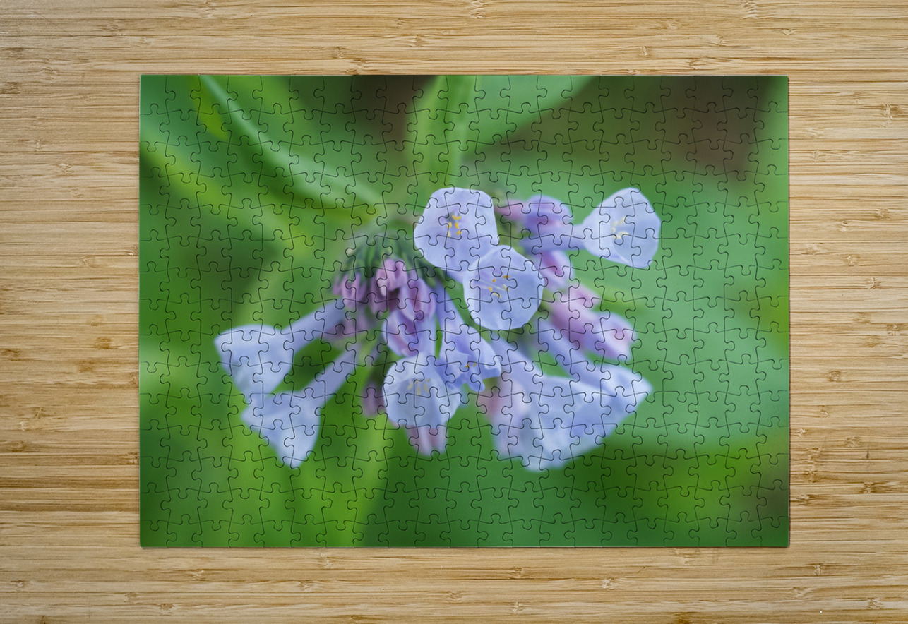 Little Bells Suzanne Bonin Puzzle printing