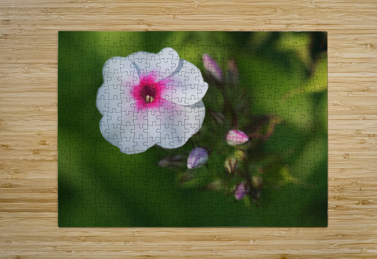 Bright Eyes Suzanne Bonin Puzzle printing