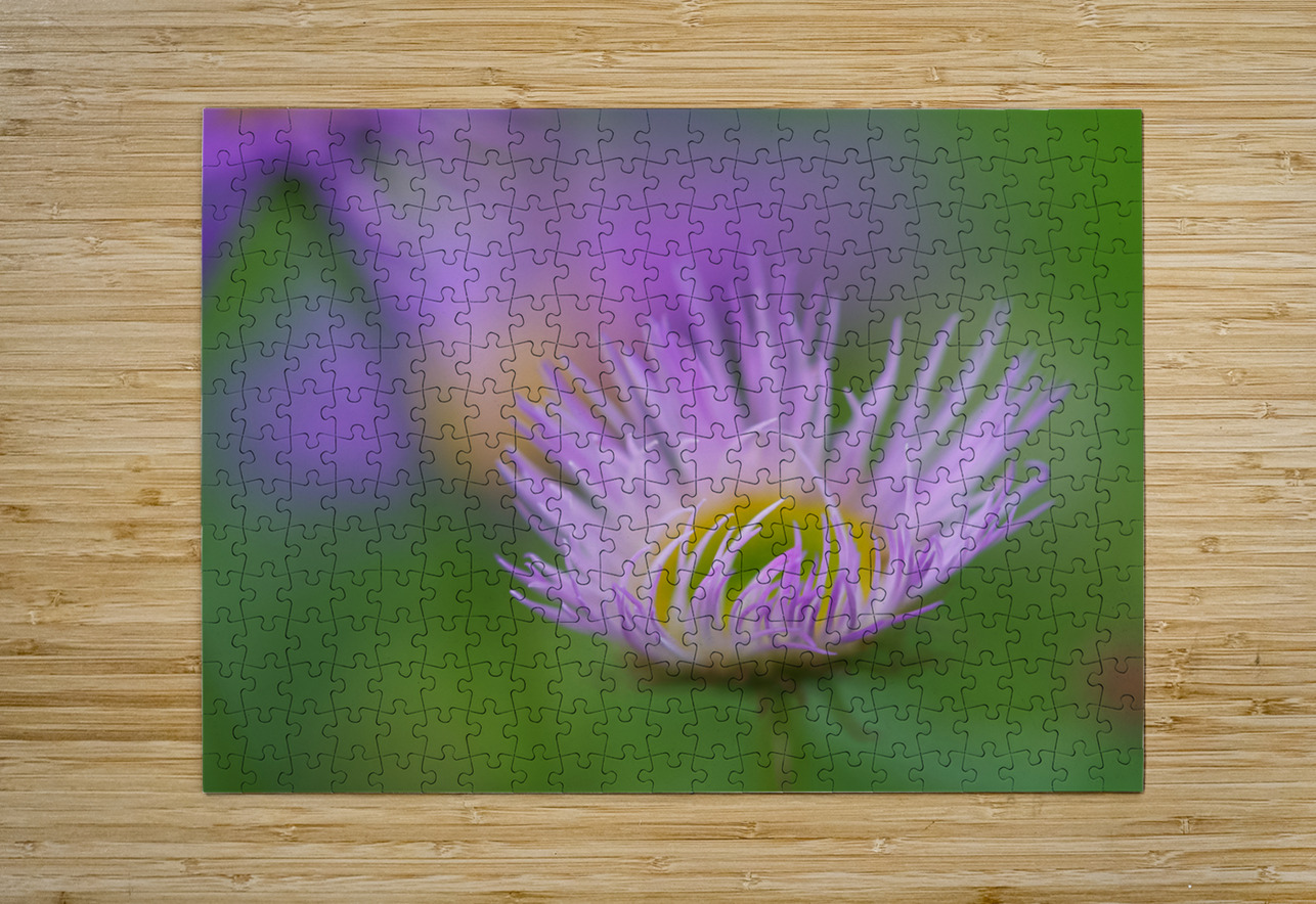 Day Dream Suzanne Bonin Puzzle printing