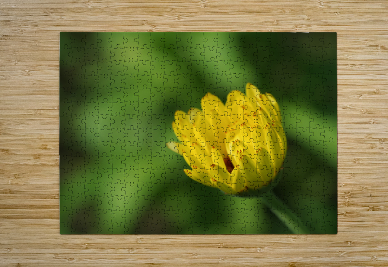 Yellow Bud Suzanne Bonin Puzzle printing