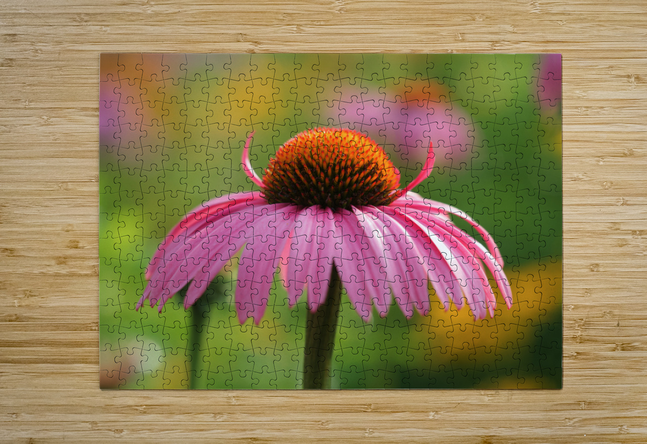 Little Devil Suzanne Bonin Puzzle printing