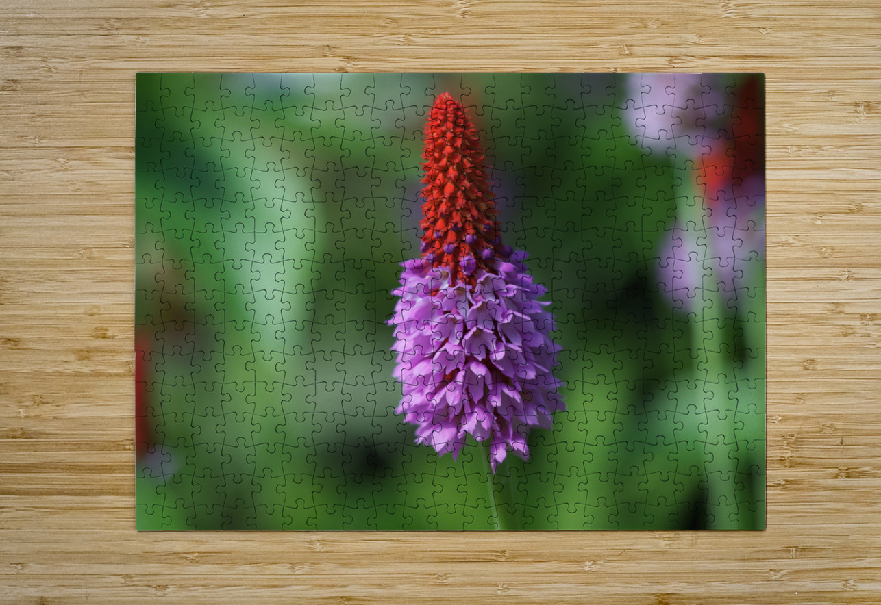 Vialii Suzanne Bonin Puzzle printing