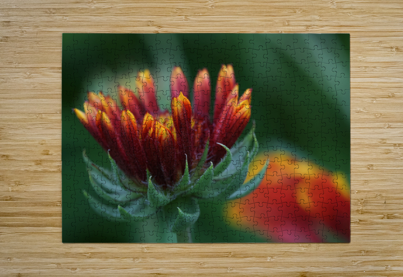 Firewheel Suzanne Bonin Puzzle printing