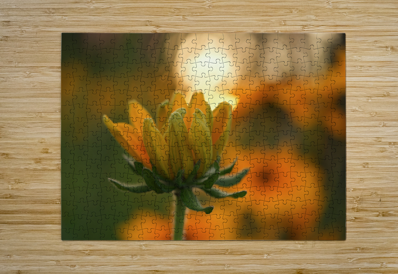 Another Day Suzanne Bonin Puzzle printing